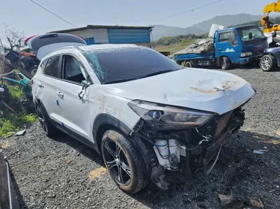 2017 Hyundai Tucson KMHJ381ABHU259498 VIN:KMHJ381ABHU259498