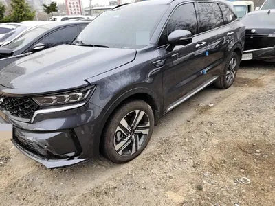2022 Kia Sorento KNARH81GBNA101047 VIN:KNARH81GBNA101047