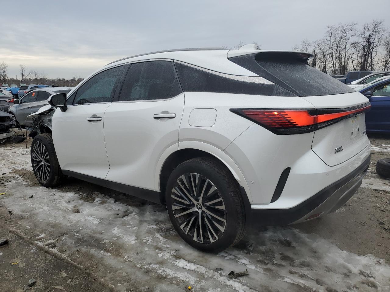 2024 LEXUS RX 350 BASE VIN:WDDGF54X49R043658