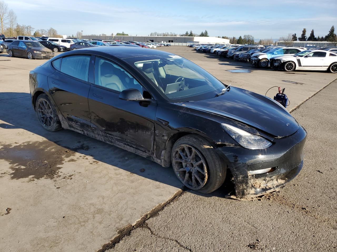 2023 TESLA MODEL 3  VIN:5YJ3E1EA3PF397737