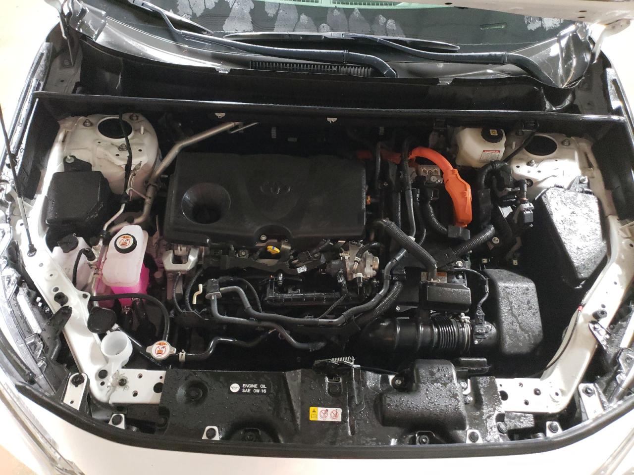 2024 TOYOTA RAV4 XLE VIN:JTMRWRFV3RD234443