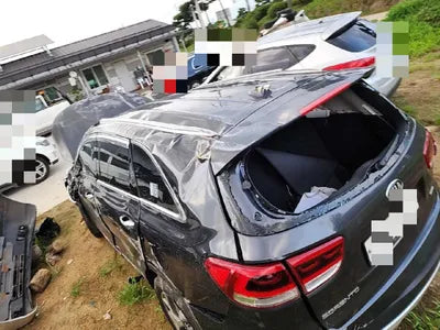 2016 Kia Sorento KNAPS81ABGA223165 VIN:KNAPS81ABGA223165