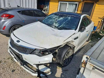 2019 Kia K5 KNAGW416BKA252894 VIN:KNAGW416BKA252894