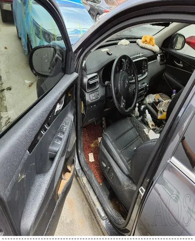 2020 Kia Sorento KNAPH81BDLA596979 VIN:KNAPH81BDLA596979