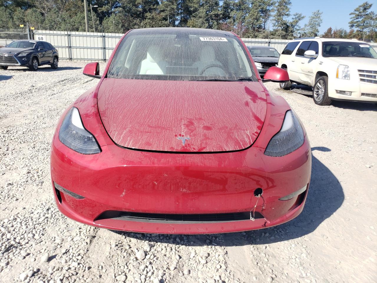 2023 TESLA MODEL Y  VIN:7SAYGDEE8PF772836