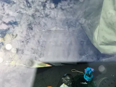 2016 Toyota Prius NONE VIN: