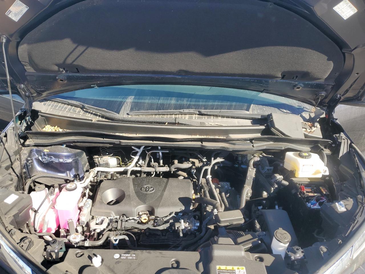 2023 TOYOTA SIENNA XLE VIN:5TDJRKEC8PS172020