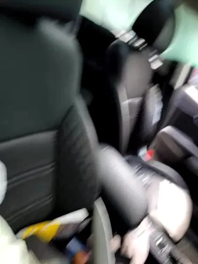 2019 Kia Sorento KNAPH81BBLA568054 VIN:KNAPH81BBLA568054