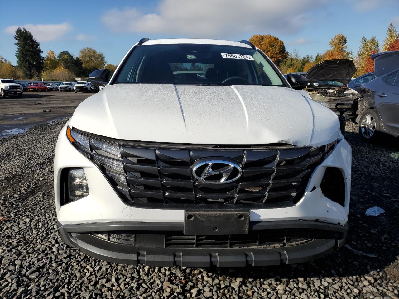 2022 HYUNDAI TUCSON N LINE VIN:KM8JFCAE2NU087121
