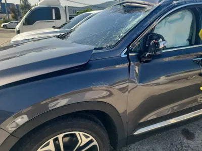2018 Hyundai Santa FE KMHS381BBKU030465 VIN:KMHS381BBKU030465