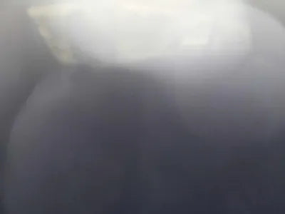 2016 Toyota Prius VIN: