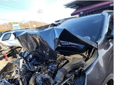 2019 Kia Sorento KNAPS81BDKA491375 VIN:KNAPS81BDKA491375