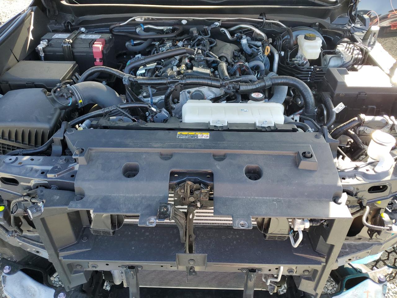 2024 TOYOTA TACOMA DOUBLE CAB VIN:3TMLB5JN6RM034355