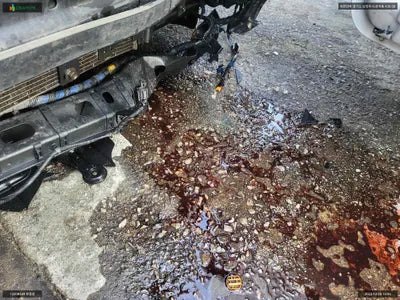 2018 Hyundai Santa FE KMHSW81UBJU862027 VIN:KMHSW81UBJU862027