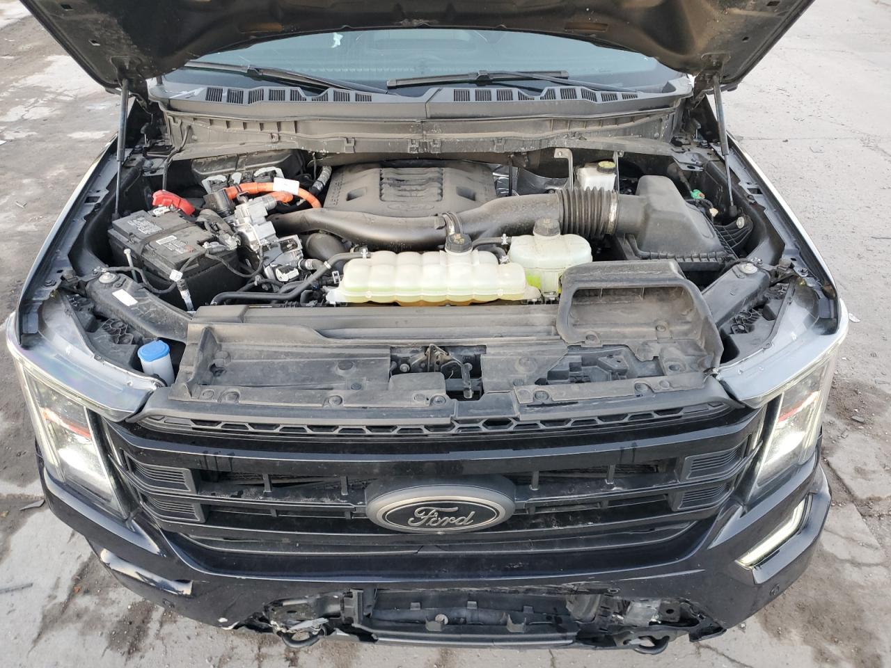 2023 FORD F150 SUPERCREW VIN:1FTFW1ED4PFA05588