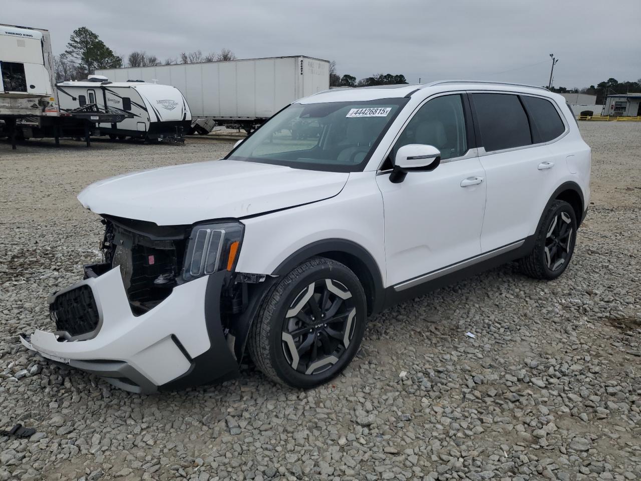 2023 KIA TELLURIDE EX VIN:5XYP3DGC5PG336499