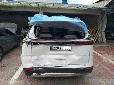 2023 Kia Carnival KNANE813BPS296612 VIN:KNANE813BPS296612