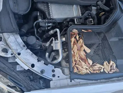 2017 Mercedes-Benz C 200 WDDWF4CB1HF591354 VIN:WDDWF4CB1HF591354