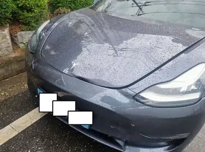 2020 Tesla Model 3 5YJ3E1EC9LF756312 VIN:5YJ3E1EC9LF756312