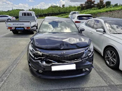 2016 Kia K5 KNAGS416BGA069703 VIN:KNAGS416BGA069703