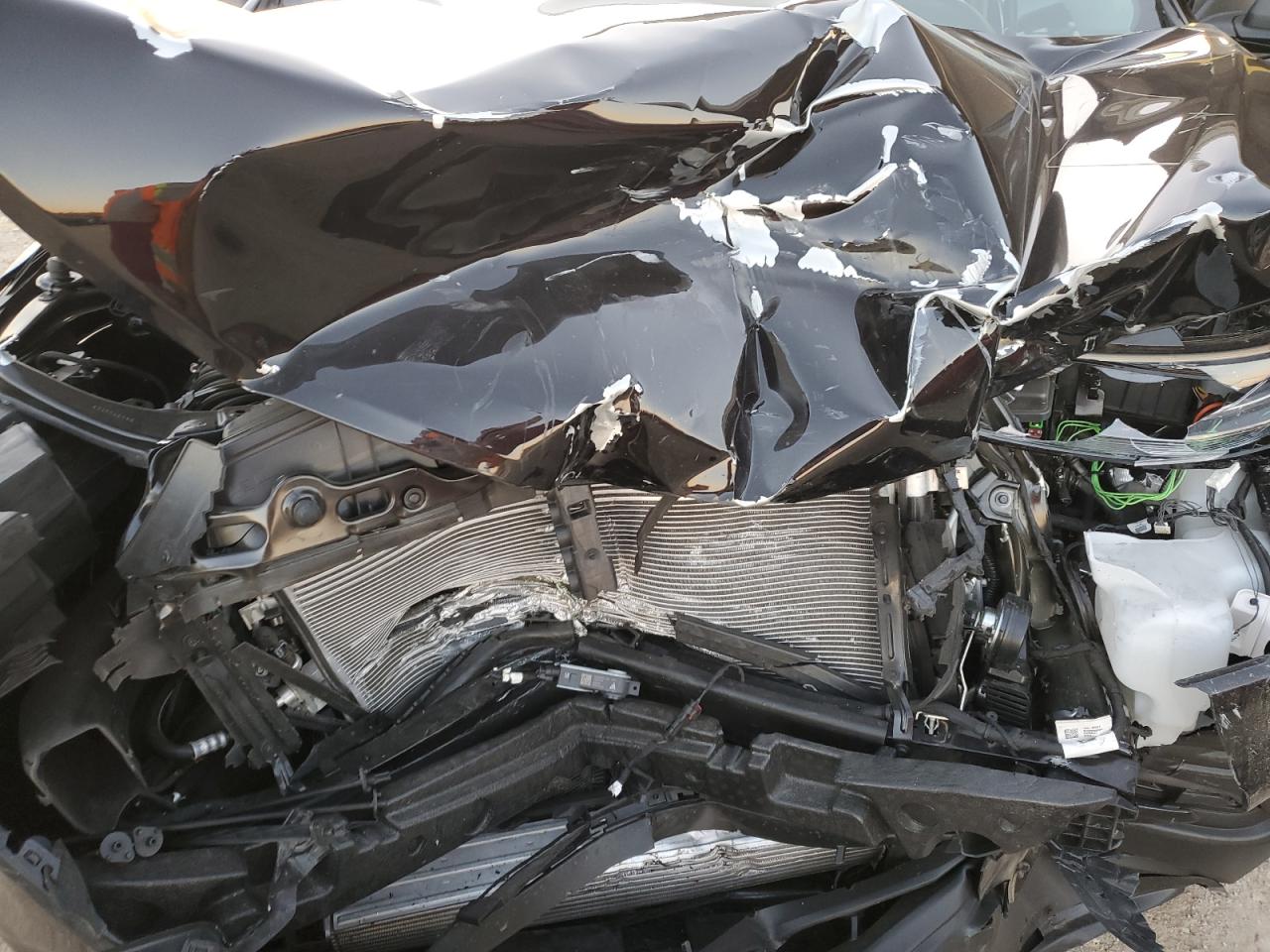 2023 CHEVROLET EQUINOX LS VIN:3GNAXHEG7PL170722