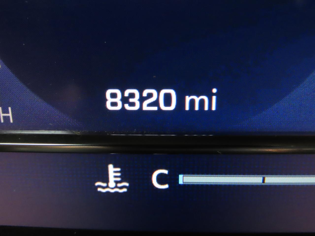 2024 CHEVROLET SILVERADO K1500 LT TRAIL BOSS VIN:3GCUDFED7RG294736