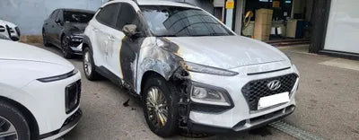 2019 Hyundai Kona KMHK4815GLU509960 VIN:KMHK4815GLU509960