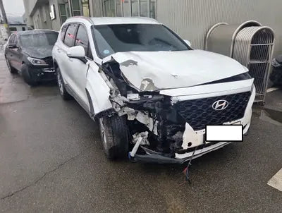 2019 Hyundai Santa FE KMHS281BDKU007298 VIN:KMHS281BDKU007298