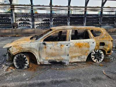 2021 Hyundai Santa FE KMHS581LHMU361273 VIN:KMHS581LHMU361273