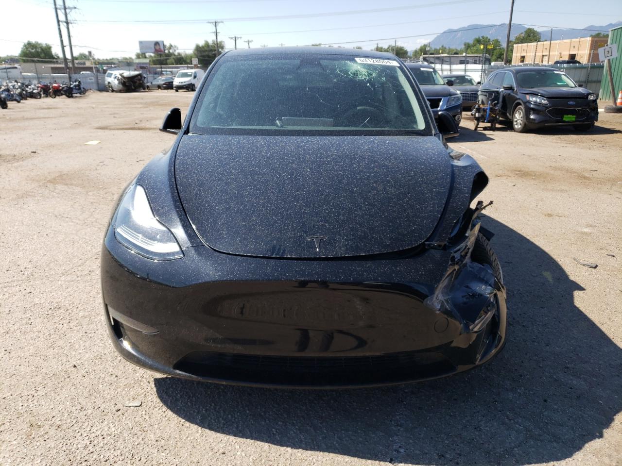 2023 TESLA MODEL Y  VIN:7SAYGDEE9PF699184