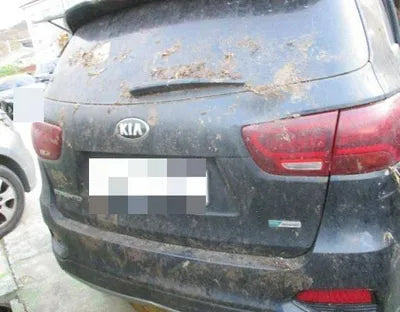 2019 Kia Sorento VIN: