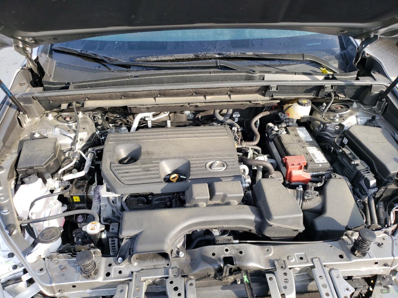 2022 LEXUS NX 250 VIN:2T2GDCEZ6NC001934