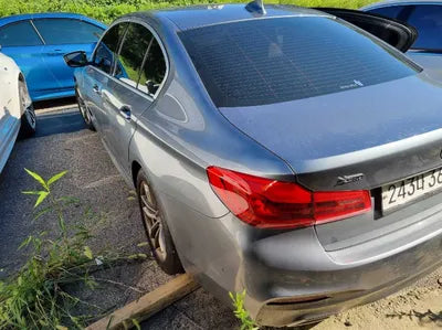 2020 BMW 520 WBAJF5105LWW55090 VIN:WBAJF5105LWW55090