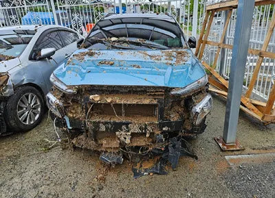 2019 Hyundai Kona KMHK7815GKU291067 VIN:KMHK7815GKU291067
