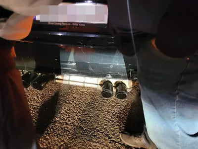 2022 BMW M4 WBS31BA05NCL01236 VIN:WBS31BA05NCL01236