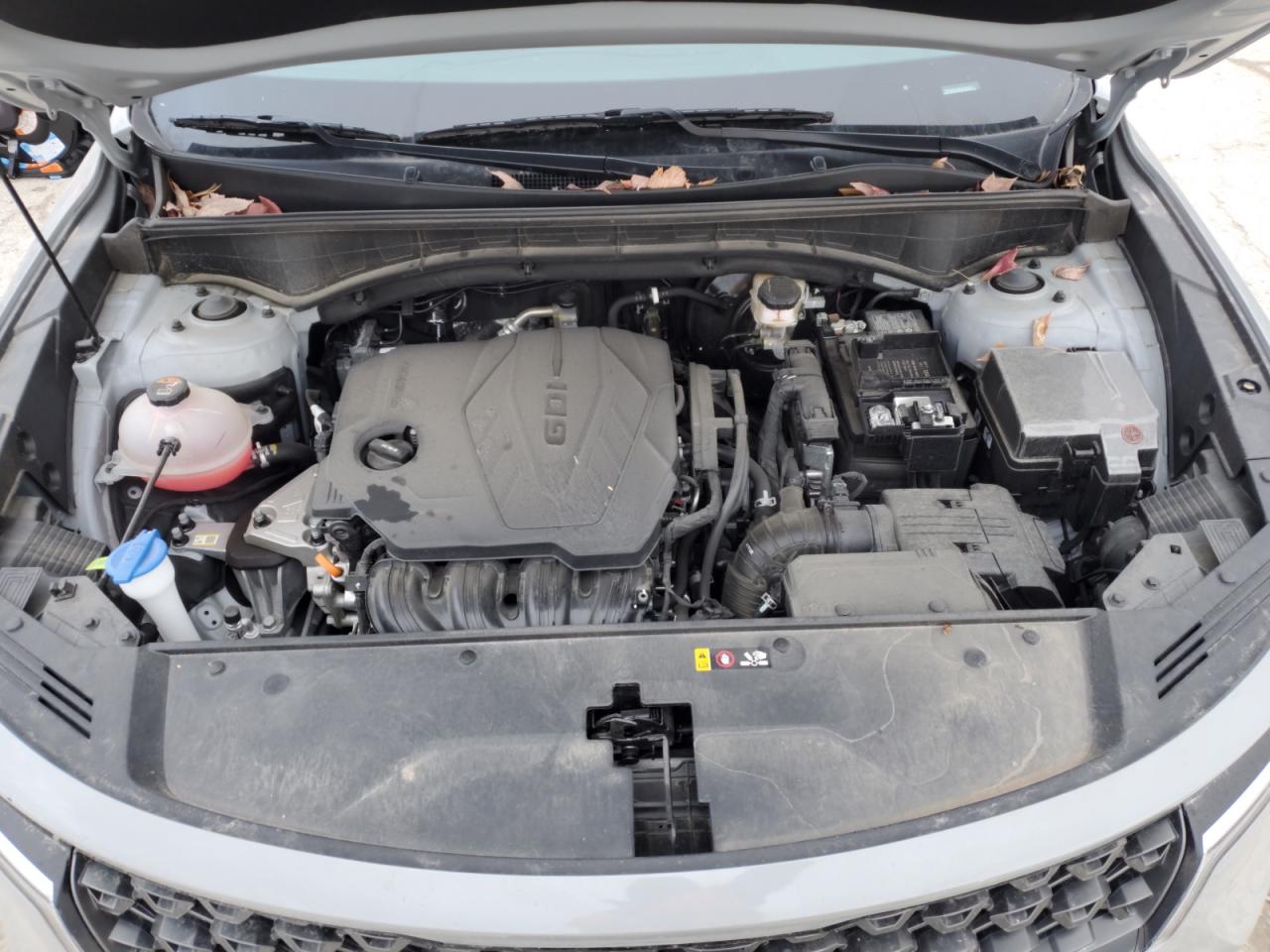 2023 KIA SORENTO S VIN:5XYRLDLC4PG224677