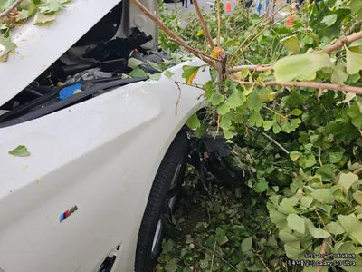 2018 BMW 520 354KMWBAJC3102JDB VIN:354KMWBAJC3102JDB