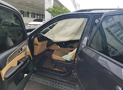 2020 Kia Mohave KNAKN814DLA207157 VIN:KNAKN814DLA207157
