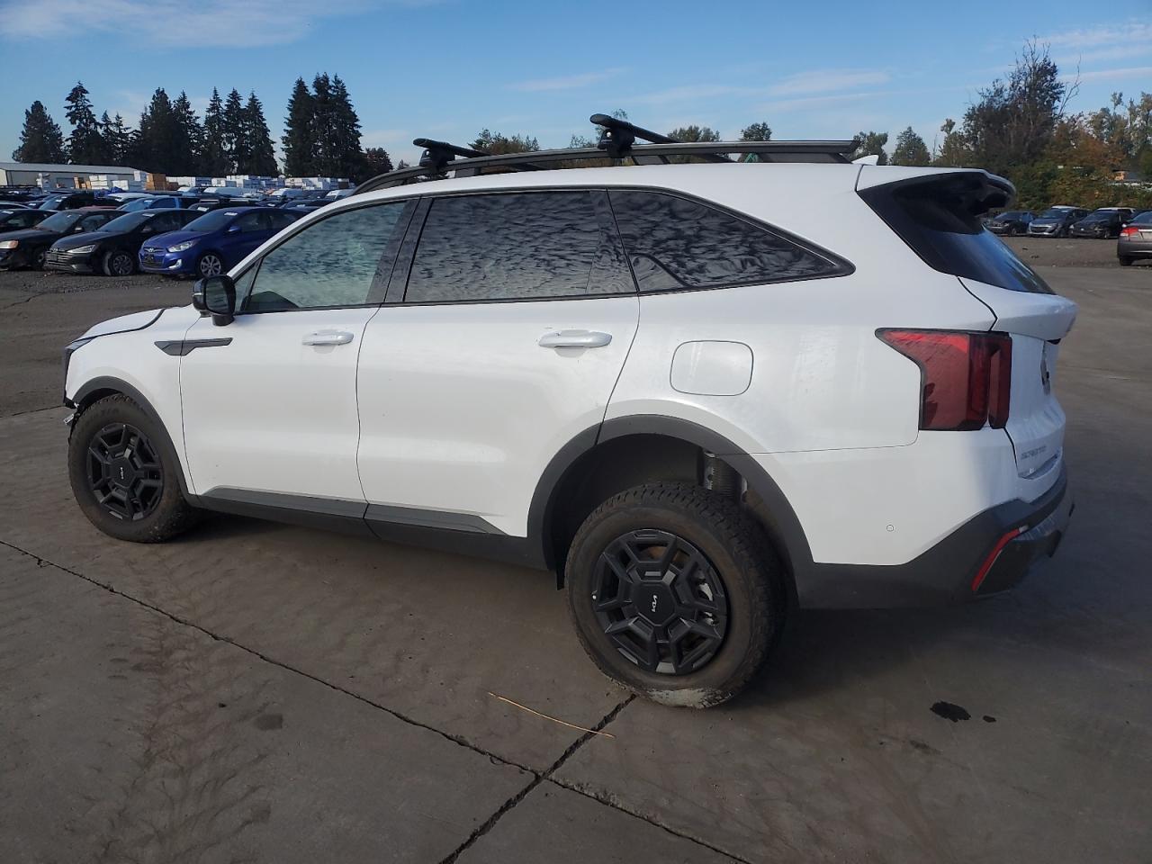 2024 KIA SORENTO SX VIN:5XYRKDJF0RG273538