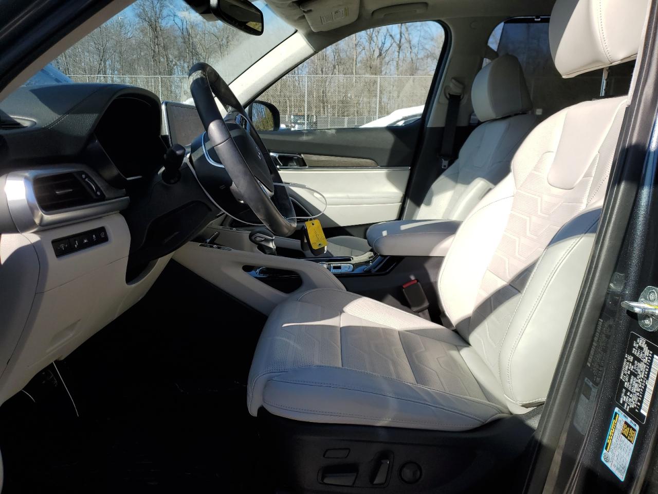 2022 KIA TELLURIDE SX VIN:5XYP5DHCXNG275396