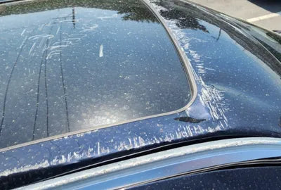 2022 BMW 640 WBACY6104N9K33449 VIN:WBACY6104N9K33449