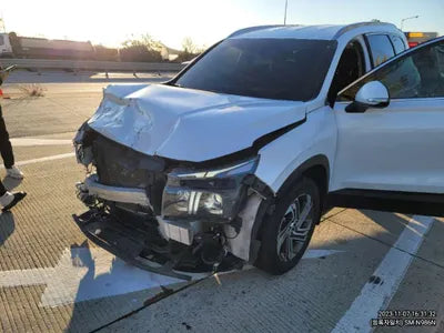 2021 Hyundai Santa FE KMHS381HGMU399703 VIN:KMHS381HGMU399703