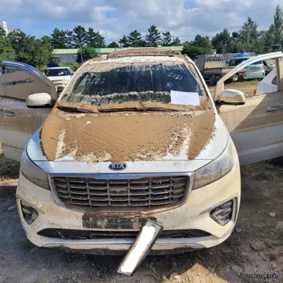 2019 Kia Carnival KNAME81ABKS598969 VIN:KNAME81ABKS598969