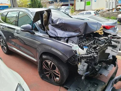 2019 Hyundai Santa FE KMHS281BBKU139725 VIN:KMHS281BBKU139725