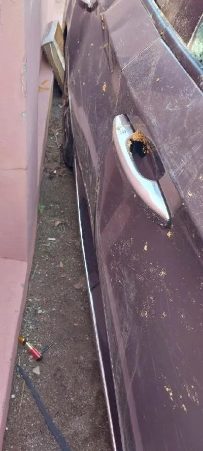 2019 Honda Accord 1HGCV3690KA510669 VIN:1HGCV3690KA510669