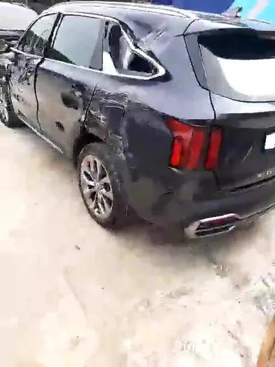 2020 Kia Sorento KNARH81BGMA053875 VIN:KNARH81BGMA053875