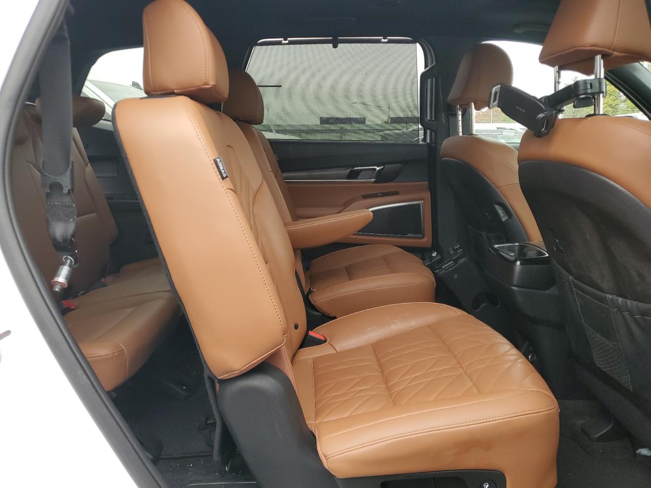2024 KIA TELLURIDE EX VIN:5XYP3DGC8RG500198
