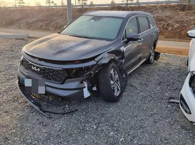 2022 Kia Sorento KNARH81GBNA098762 VIN:KNARH81GBNA098762