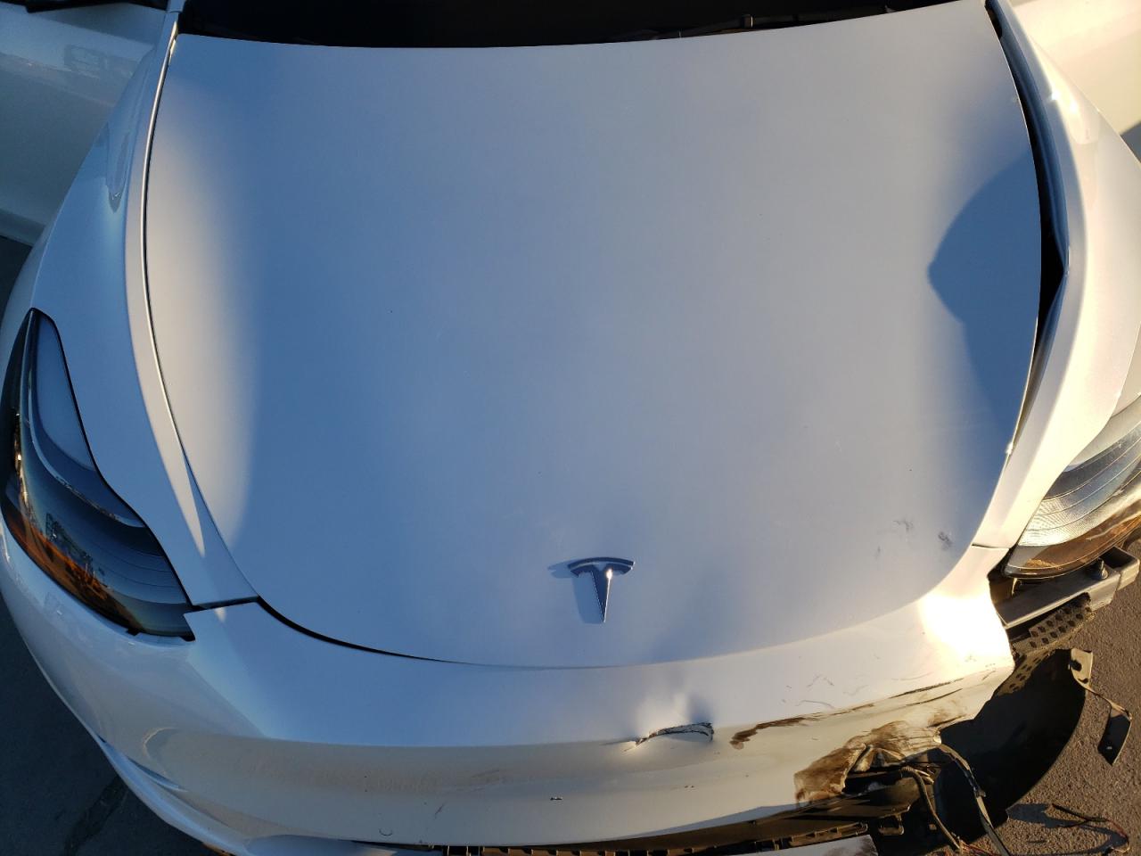 2022 TESLA MODEL Y  VIN:7SAYGDEFXNF461477