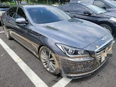 2015 acupuncture nessis 3.8 VIN: